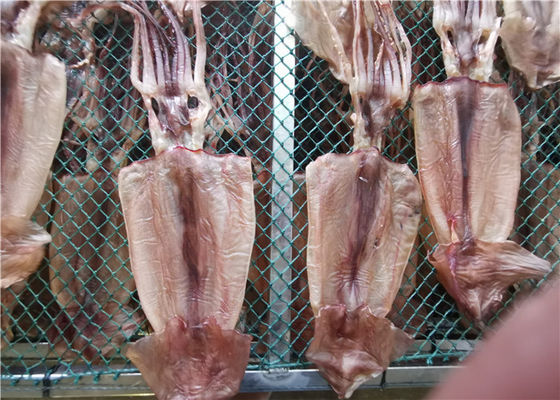 quality Bulkzeevruchten80g 90g Gehele Droge Pijlinktvis voor Restaurant factory